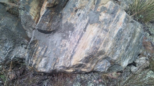 Гигантские зелёные валуны для ландшафтного дизайна весом более 5 тонн купить в Новой Ляле