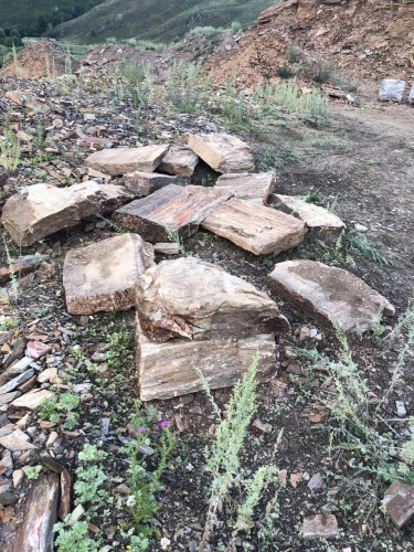 Пошаговая дорожка из плит златолит кора дерева купить в Новой Ляле